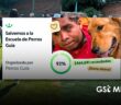 Escuela para Entrenamiento de Perros Guía para Ciegos I.A.P. solicita apoyo para no cerrar