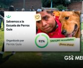Escuela para Entrenamiento de Perros Guía para Ciegos I.A.P. solicita apoyo para no cerrar