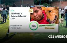 Escuela para Entrenamiento de Perros Guía para Ciegos I.A.P. solicita apoyo para no cerrar