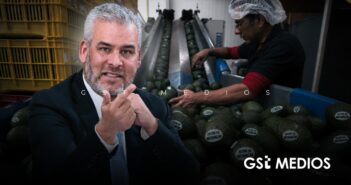 Gobernador de Michoacán dice que suspensión de exportación de aguacate es por operativos recientes de seguridad