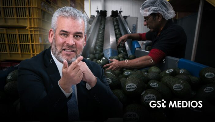 Gobernador de Michoacán dice que suspensión de exportación de aguacate es por operativos recientes de seguridad 1 Gobernador de Michoacán dice que suspensión de exportación de aguacate es por operativos recientes de seguridad