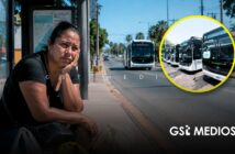 Prometieron más de 60 camiones para Vallarta… ¡y solo han entregado 19!