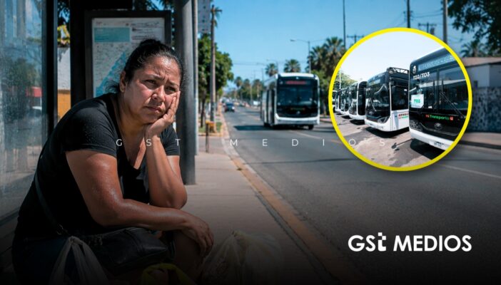 Prometieron más de 60 camiones para Vallarta… ¡y solo han entregado 19!