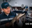 Aprueban programa municipal para la convivencia entre animales silvestres y personas