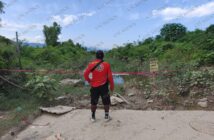 Protección civil continúa en la búsqueda de dos cocodrilos en Mojoneras