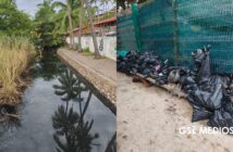 Denuncian contaminación del canal de Los Tules por aguas negras y basura