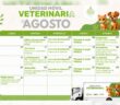 Dan a conocer el calendario de esterilizaciones gratuitas y jornadas de adopción para el mes de agosto
