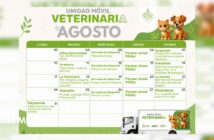 Dan a conocer el calendario de esterilizaciones gratuitas y jornadas de adopción para el mes de agosto
