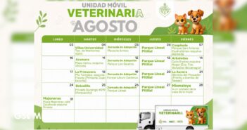 Dan a conocer el calendario de esterilizaciones gratuitas y jornadas de adopción para el mes de agosto