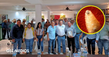 Refuerzan acciones contra gusano barrenador en Puerto Vallarta