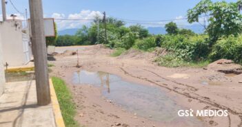 Obra pública en avenida Las Flores en el abandono