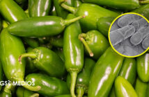 Cofepris descarta Salmonella en jalapeños mexicanos 