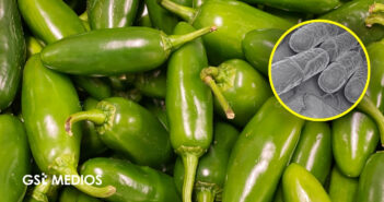 Cofepris descarta Salmonella en jalapeños mexicanos 