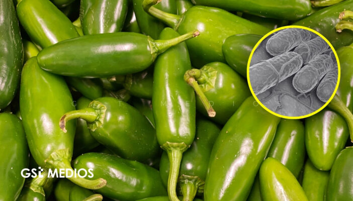 Cofepris descarta Salmonella en jalapeños mexicanos 