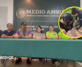 Necropsia revela que cocodrilo hallado en Boca Negra murió por trauma severo
