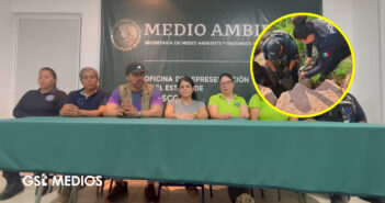 Necropsia revela que cocodrilo hallado en Boca Negra murió por trauma severo