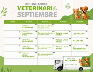 Anuncian calendario de esterilizaciones gratuitas para el mes de septiembre 1 Anuncian calendario de esterilizaciones gratuitas para el mes de septiembre