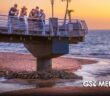 Cocodrilos no ahuyentan al turismo en Puerto Vallarta, señalan especialistas