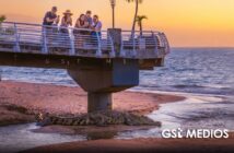 Cocodrilos no ahuyentan al turismo en Puerto Vallarta, señalan especialistas