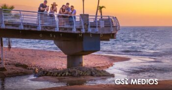 Cocodrilos no ahuyentan al turismo en Puerto Vallarta, señalan especialistas