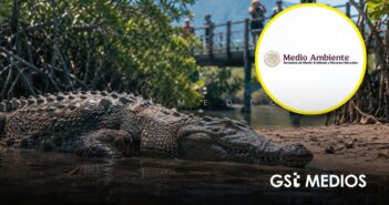 Semarnat anuncia protocolos para la coexistencia de cocodrilos en las costas de Jalisco y Nayarit