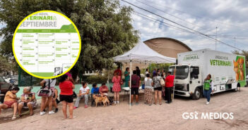 Anuncian calendario de esterilizaciones gratuitas para el mes de septiembre