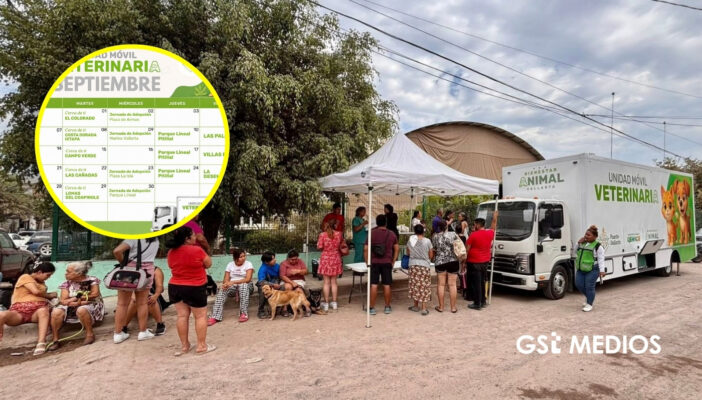 Anuncian calendario de esterilizaciones gratuitas para el mes de septiembre