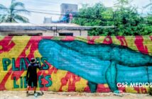 Primer Festival del Mural de Punta de Mita cerrará convocatoria este 10 de septiembre