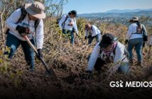 Colectivo Una Luz para Nuestros Desaparecidos Puerto Vallarta exige al DIF Jalisco entregar apoyos a familias de personas desaparecidas