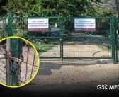 Pescadores denuncian restricciones de ASIPONA a sus embarcaciones en el Estero El Salado