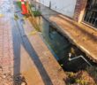 Denuncian derrame de agua potable en la colonia Las Aralias; Seapal Vallarta inicia reparación