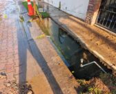 Denuncian derrame de agua potable en la colonia Las Aralias; Seapal Vallarta inicia reparación