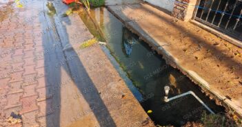 Denuncian derrame de agua potable en la colonia Las Aralias; Seapal Vallarta inicia reparación