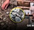 Nacen 98 tortugas marinas de huevos recuperados de extracción ilegal en Nayarit
