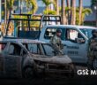 Puerto Vallarta: percepción de inseguridad a la baja, pero duplica la de hace un año