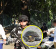 Tortuga casquito de Vallarta sigue presente en Laguna Coapinole, tras cuatro años de monitoreo