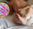 Expertos llegan a Jalisco para investigar posible brote de Klebsiella