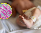 Expertos llegan a Jalisco para investigar posible brote de Klebsiella