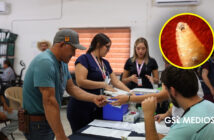 Mantienen acciones preventivas contra el gusano barrenador en Puerto Vallarta
