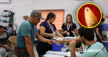 Mantienen acciones preventivas contra el gusano barrenador en Puerto Vallarta