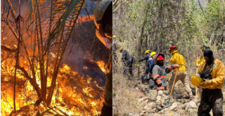Incendio en La Cruz de Huanacaxtle alcanza 75% de control tras cinco días de combate