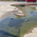 Se confirma derrame de aguas negras en Altavela en Bahía de Banderas