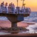 Cocodrilos no ahuyentan al turismo en Puerto Vallarta, señalan especialistas